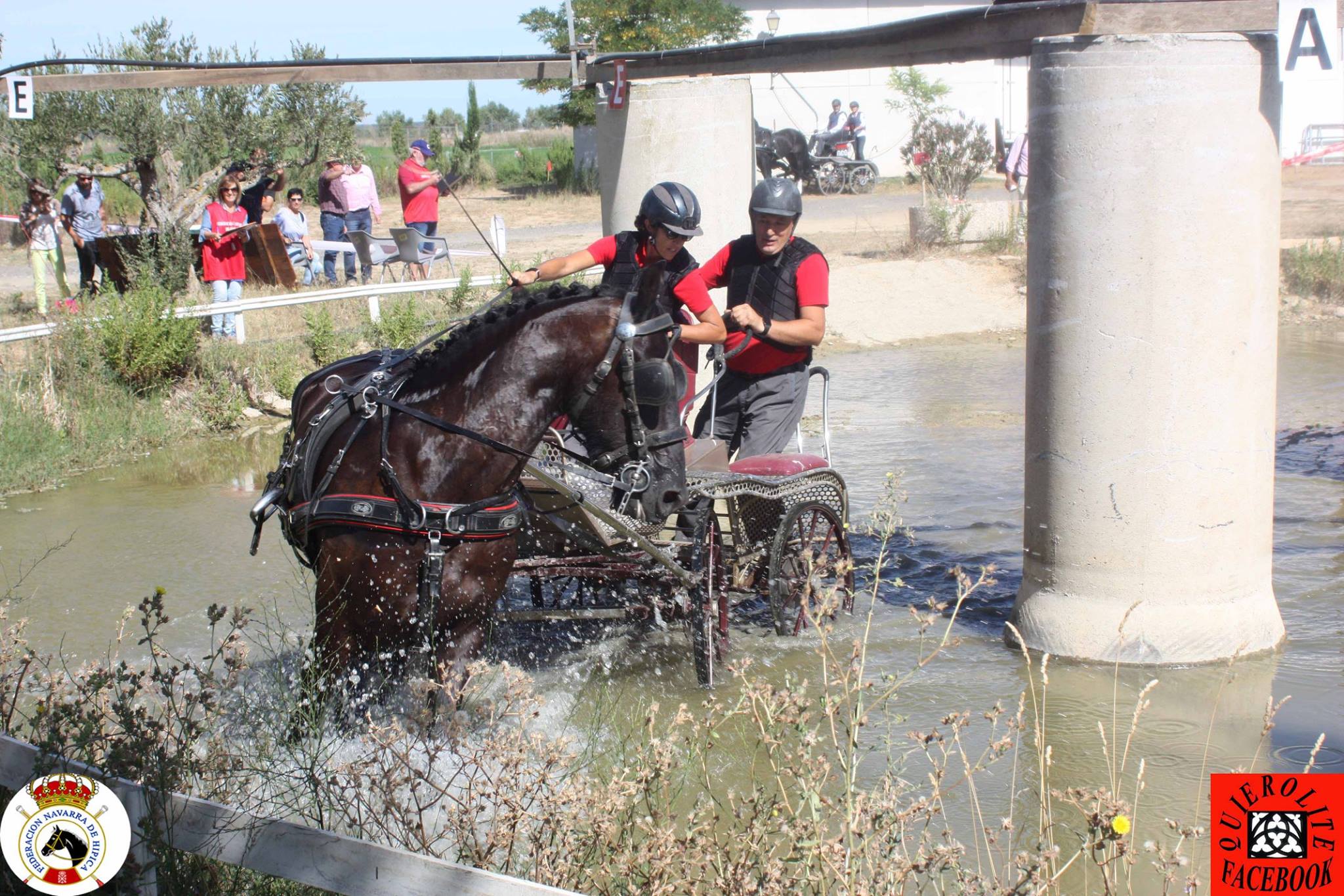 Olite acogió el Campeonato Navarro de Enganches